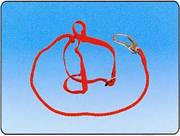 �α���ȫ����B