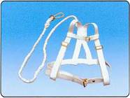 �p����ȫ����B