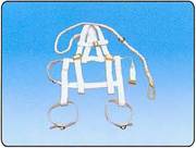 ȫ����ȫ����A